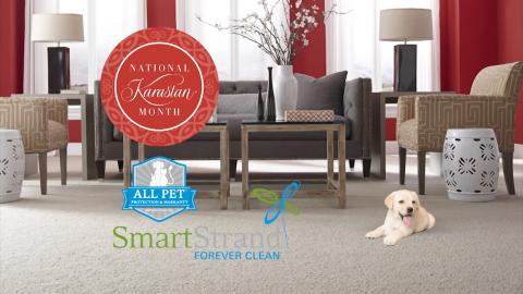 Peek's National Karastan Month - Pet