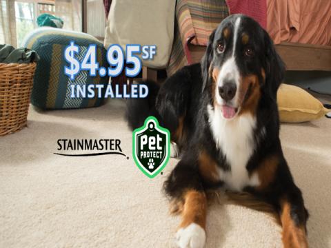 Mill Creek's Wall to Wall Savings Event - Stainmaster Pet Protect